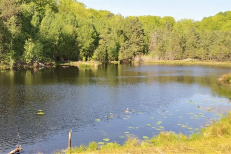 Usedom: Nature Park Tour - Tranquil Waterways