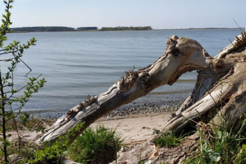 Usedom: Nature Park Tour - Frequently Asked Questions