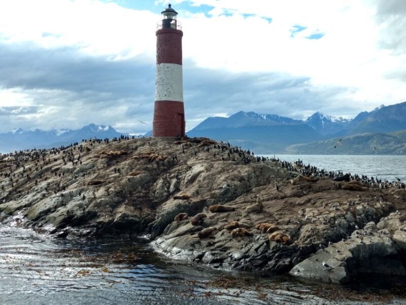 Ushuaia: Beagle Channel & Sea Wolves Island Catamaran Cruise - Key Points