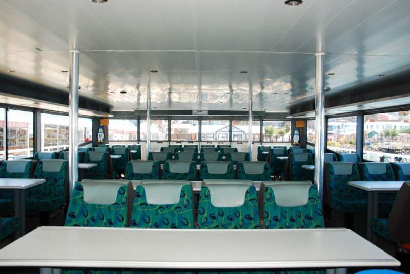 Ushuaia: Beagle Channel & Sea Wolves Island Catamaran Cruise - Accessibility Features