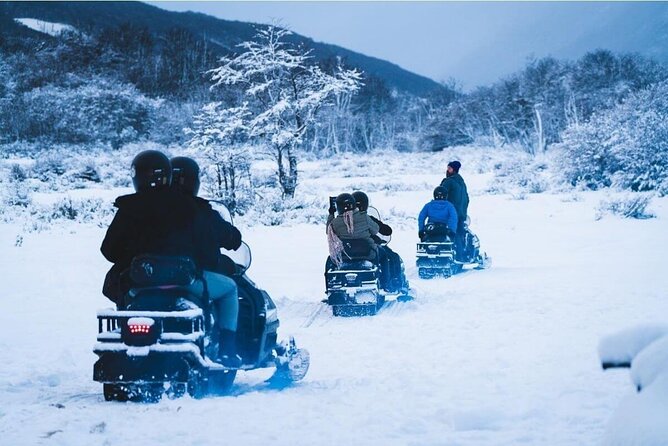 Ushuaia: Full Day Snow: Sledding With Huskies Snowmobile 4x4 - Experiencing the Husky Park