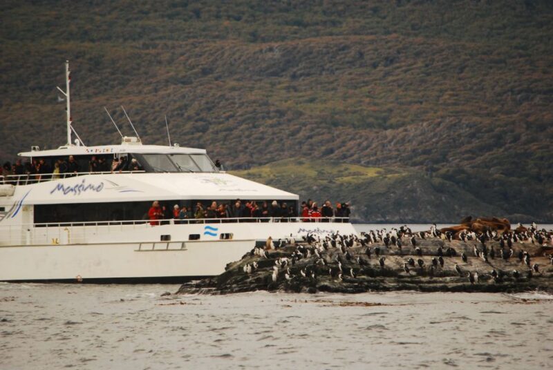 Ushuaia: Penguin Watching Tour by Catamaran - Inclusions and Amenities