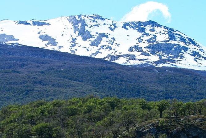 Ushuaia Shore Excursion: Private Tour of Tierra Del Fuego National Park - Transportation Details