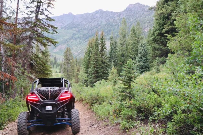 Utah: Guided UTV Tour with Local Expert - An Authentic Utah Off-Road Experience