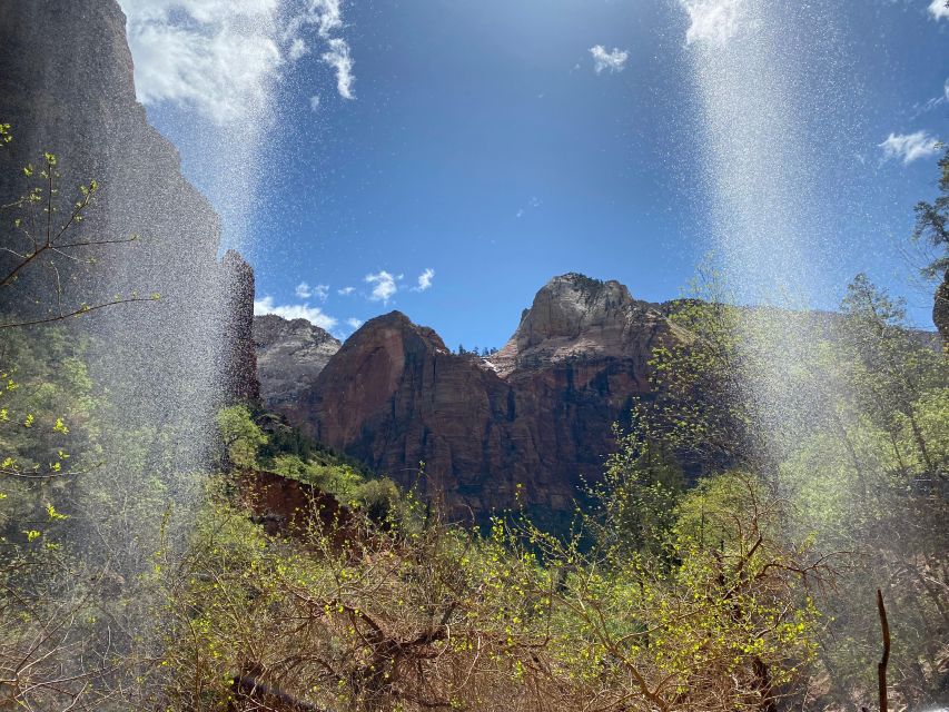 Utah: Zion National Park Half-Day Hike With Picnic - Booking Information