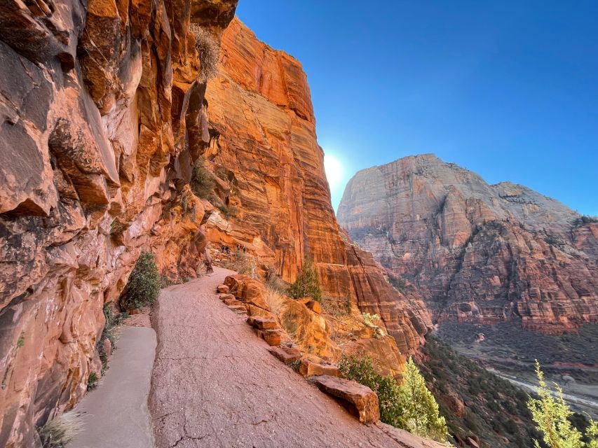 Utah: Zion National Park Half-Day Hike With Picnic - Experience Highlights