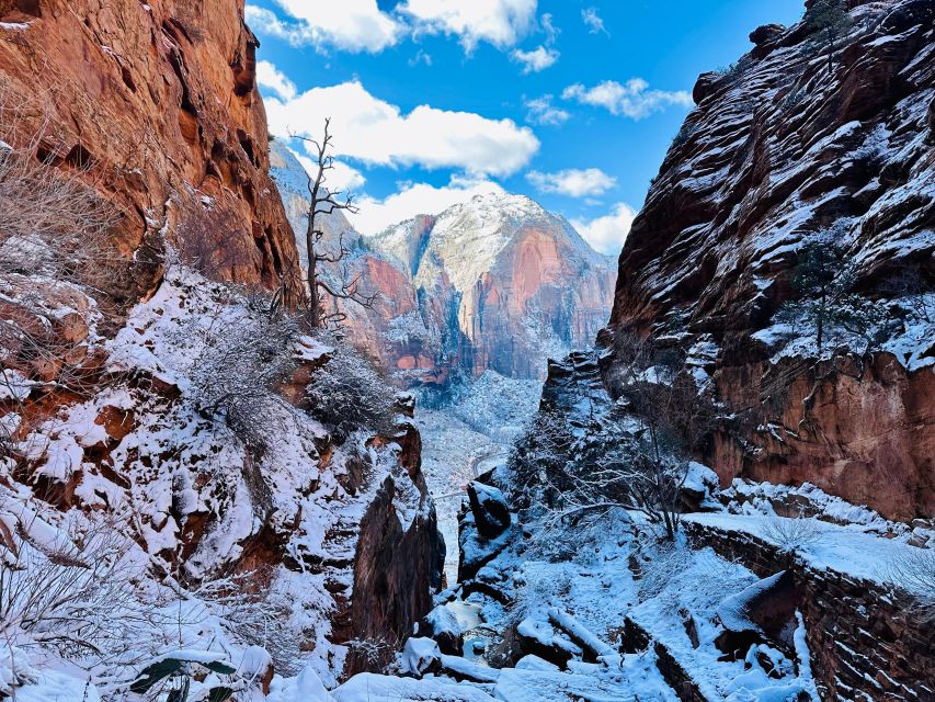 Utah: Zion National Park Half-Day Hike With Picnic - Additional Information