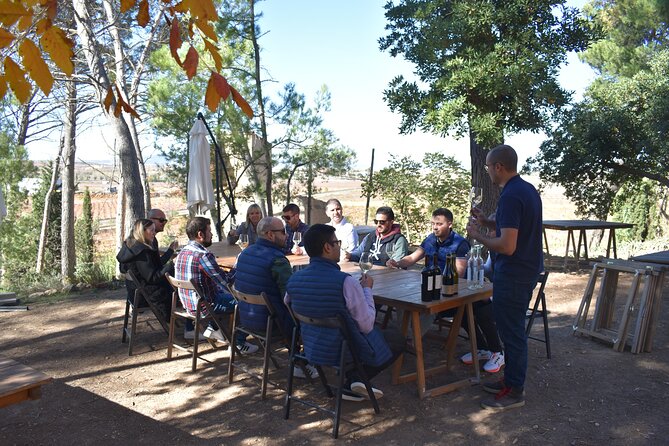 Utiel-Requena Excursion: Uncover the Flavors of Valencias Wine - Tour Specifications and Limitations