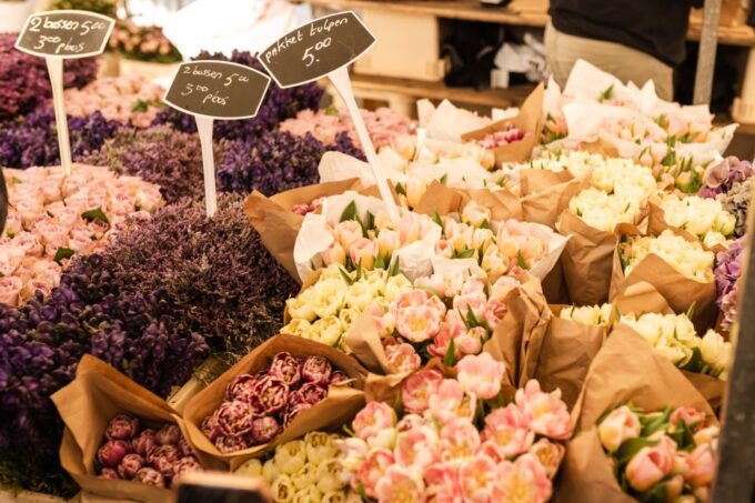 Utrecht: Customizable Tour & Optional Train From Amsterdam - Local Attractions to Explore