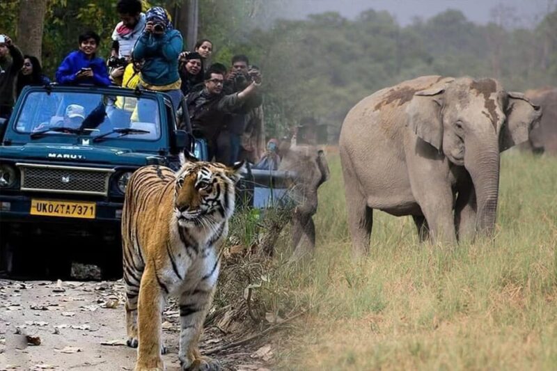 Uttarakhand Delights: Nainital & Corbett Expedition - Itinerary Day 1