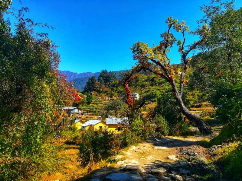 Uttarakhand: Pindari Glacier Trek With Danu Adventure - Trekking Highlights