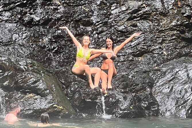 UTV 4wd Cassowary Falls and Daintree Rainforest Adventure tour - Key Points