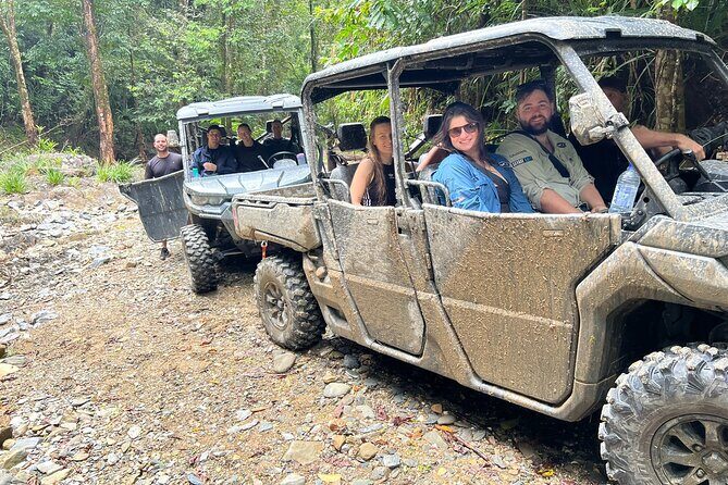 UTV 4wd Cassowary Falls and Daintree Rainforest Adventure tour - An In-Depth Look at the Experience