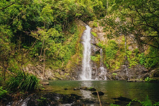 UTV 4wd Cassowary Falls and Daintree Rainforest Adventure tour - Final Thoughts on Value and Experience