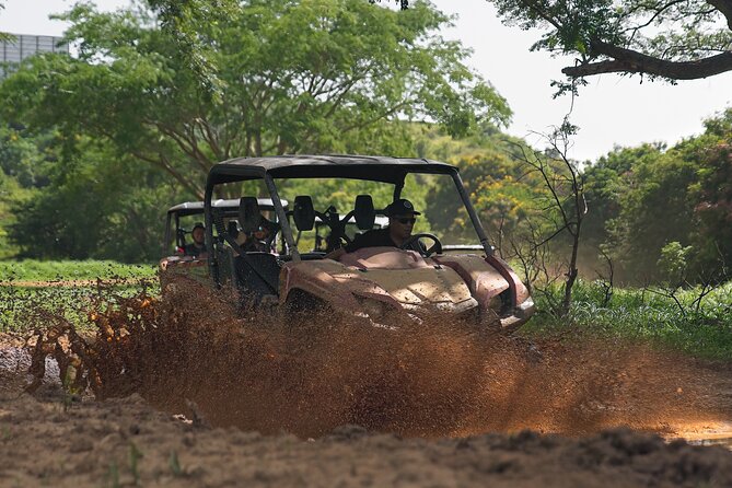 UTV Adventure in Naguabo Puerto Rico 50 Minutes Trip 80 Acres - Additional Information