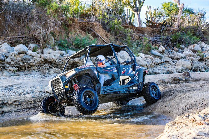 UTV and Camel Ride in the Cabo Desert - UTV and Camel Ride in the Cabo Desert: An Honest, Detailed Review