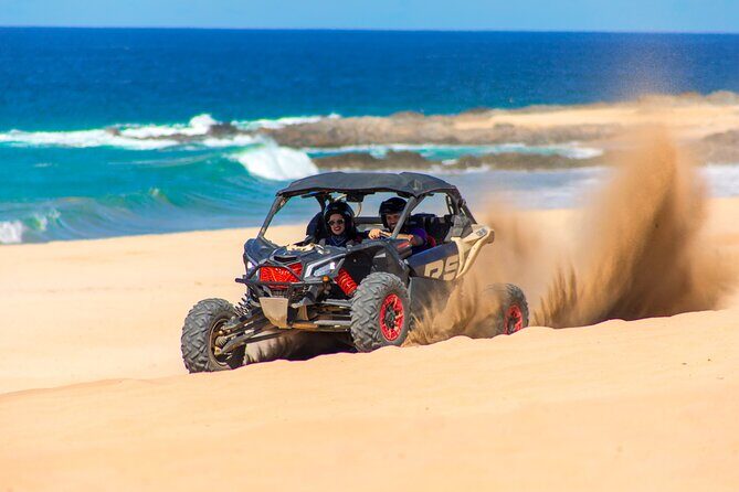 UTV and Camel Ride in the Cabo Desert - Key Points