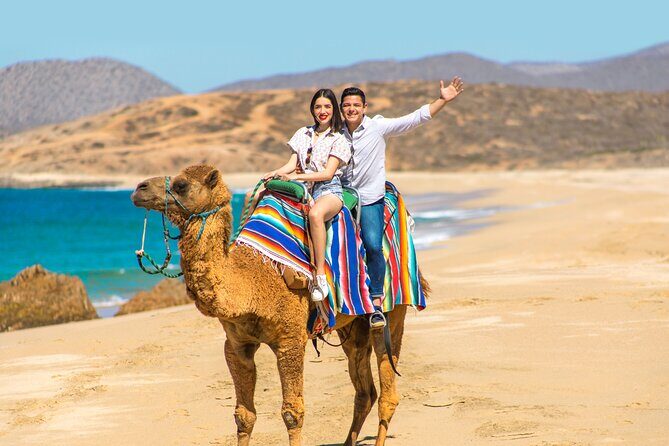 UTV and Camel Ride in the Cabo Desert - Authentic Experiences and Honest Reviews