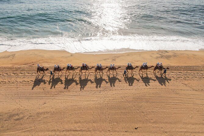 UTV and Camel Ride in the Cabo Desert - Who Would Love This Tour?