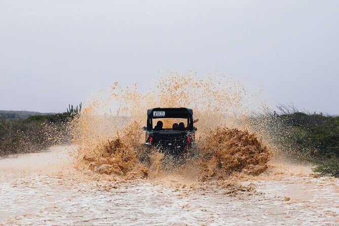 UTV Buggy Expedition in West Coast - Final Thoughts: Who Will Love This Experience?