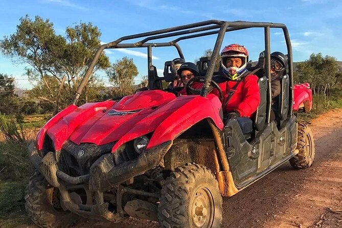 UTV off Road Experience and Winery Visit in Valle De Guadalupe! - Booking Information