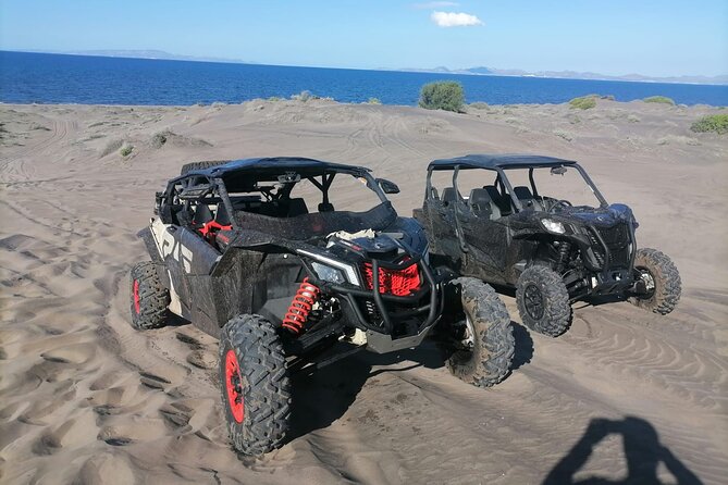UTV Off-Roading + Sandboarding Adventure at the Dunes - Participant Requirements