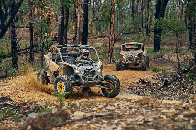 UTV Rental in Wickenburg Review - Safety Considerations