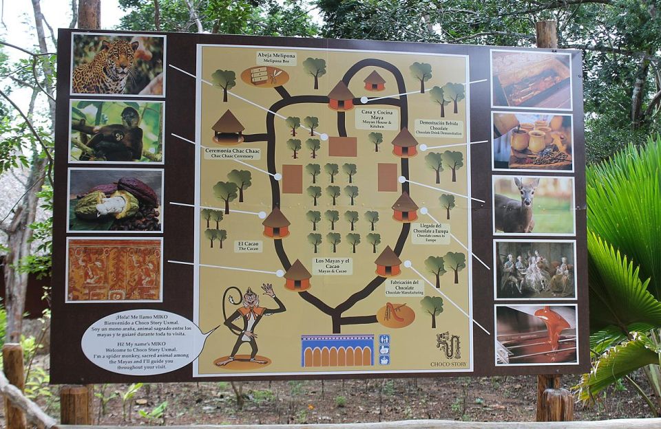 Uxmal and Choco Story Private Tour - Tour Duration and Availability