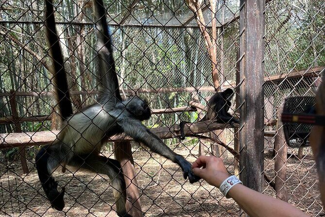 Uxmal Cultural and Gastronomic Tour and Cocoa Museum - Who Is This Tour Best For?