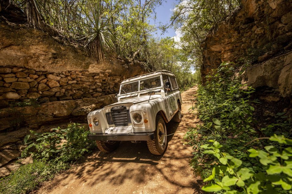 Uxmal: Vintage Land Rover Expedition to Uxmal Cenotes - Vintage Land Rover Ride