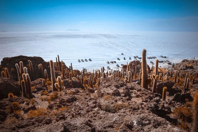 Uyuni: Guided 3-Day Tour Salt Flats & Avaroa National Park - Customer Reviews and Feedback