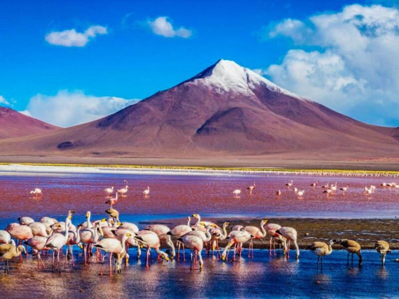 Uyuni Salt Flat - Colored Lagoons Tour - 3 Days/2 Nights - Day 3 Exploration