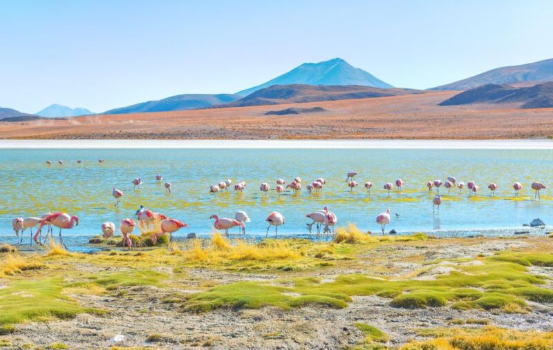 Uyuni Salt Flats and Red Lagoon 3-Days | English in Guide | - Detailed Itinerary