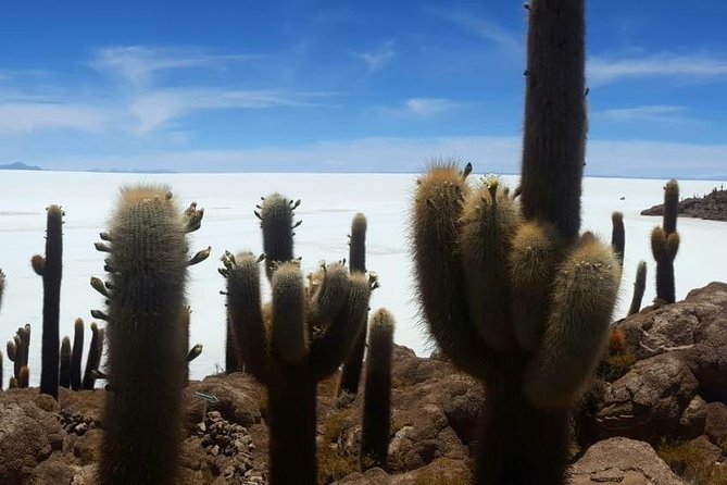 Uyuni Saltflat From San Pedro De Atacama ROUNDTRIP or ONE WAY to Uyuni - Customer Reviews and Feedback