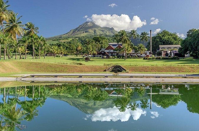 V.I.P North Caribbean deep forest Tour -The Green Martinique - Price and Value