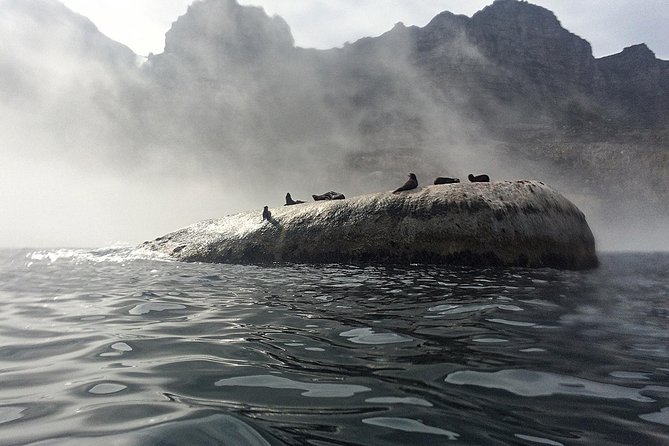 V&A Waterfront Marine Big 5 Ocean Safari - Good To Know