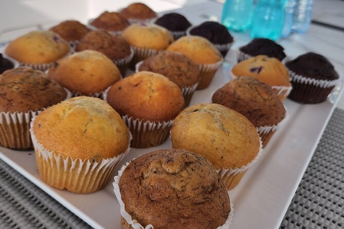 V&A Waterfront Marine Big 5 Ocean Safari - Highlights of the Tour