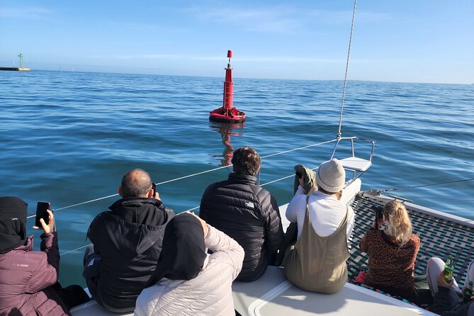 V&A Waterfront Marine Big 5 Ocean Safari - What to Expect on the Safari