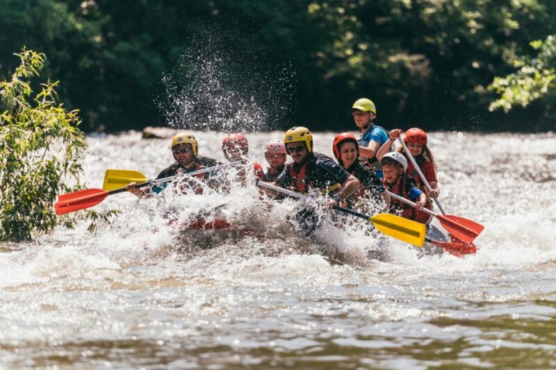Vadu Crisului: Rafting or Kayaking Trip on the Crisul Repede - Pricing Information