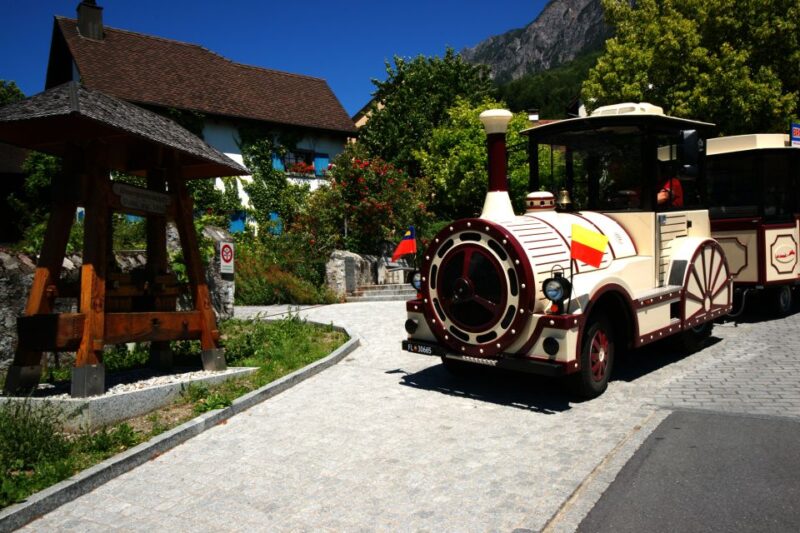 Vaduz: City Train Tour - Panoramic Views and Photo Opportunities