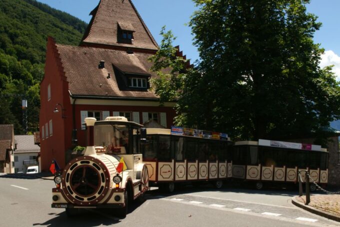 Vaduz: City Train Tour - Customer Feedback and Ratings