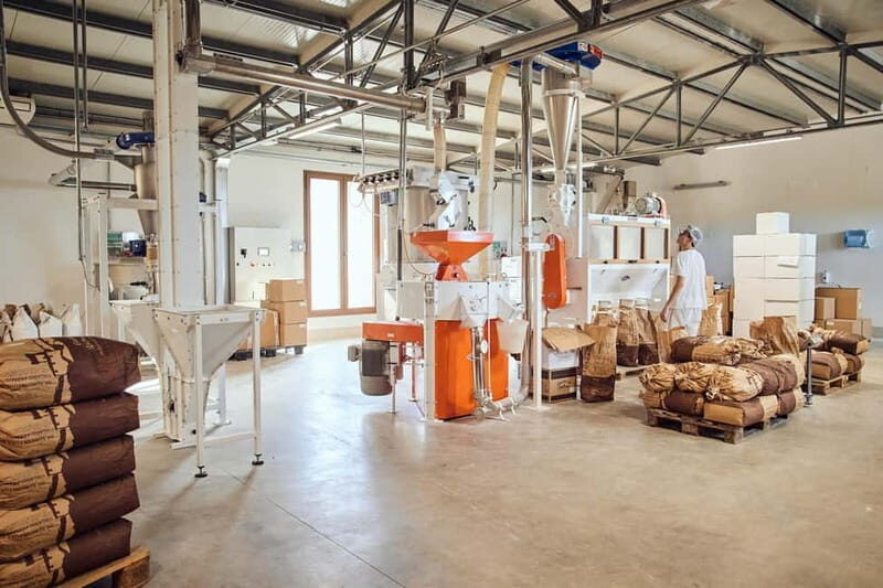 Val d'Orcia: Mill and Pasta Factory Tour with Tasting Lunch - Who Should Consider This Tour?