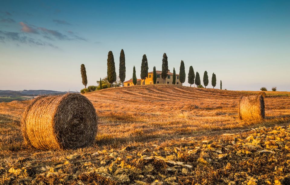 Val D'orcia: Montepulciano, Pienza, Montalcino With Winery - Key Points