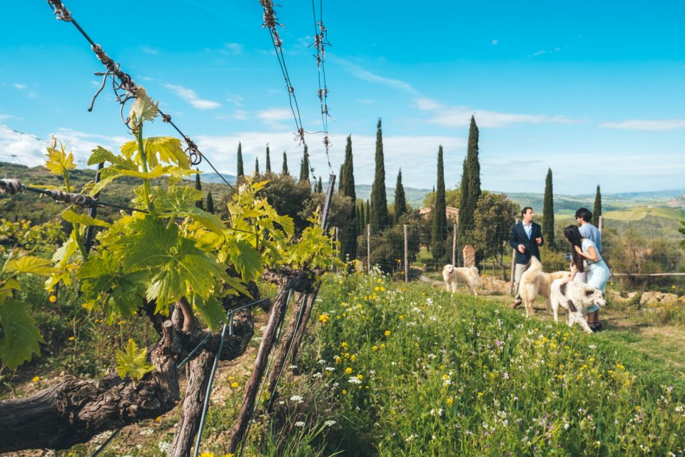 Val D'orcia: Wine and Food Tasting at a Podere - Highlights of the Experience