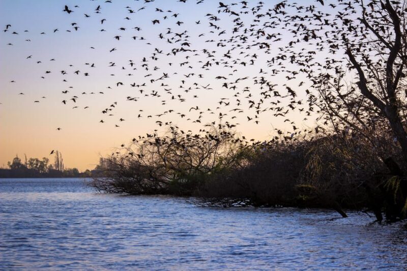 Valada: 1 hour boat trip, guided tour - Practical Details for Travelers
