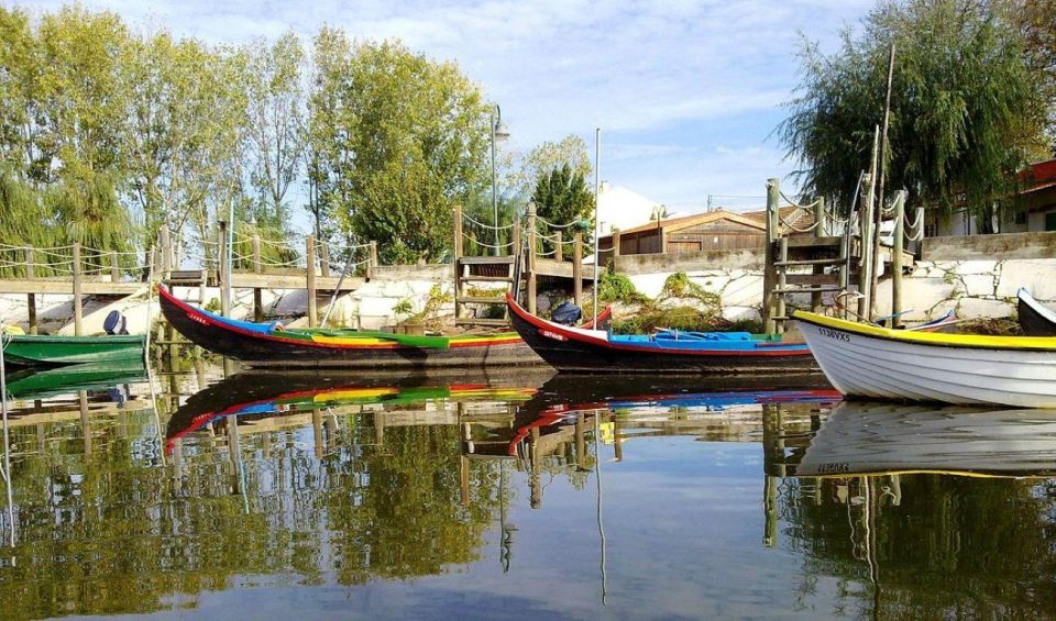 Valada Do Ribatejo: Tejo River Birdwatching Experience - Tips for Birdwatching