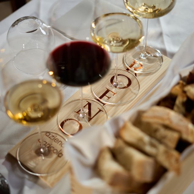Valdadige: Roeno Guided Tour and Wine Tasting - Important Information