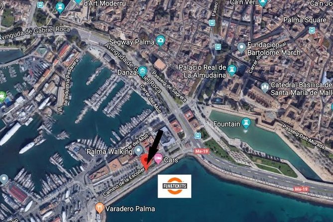 Valdemossa Half Day Tour - Inclusions and Logistics