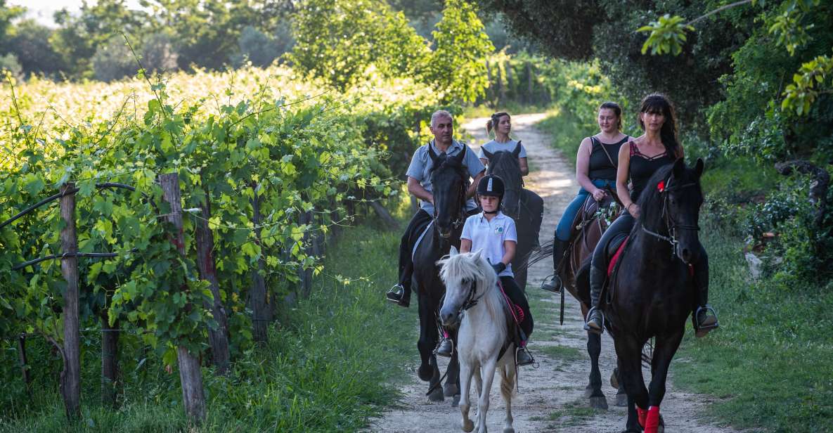 Valdichiana: Horseback Riding Tour With Tuscan Picnic - Scenic Horseback Riding