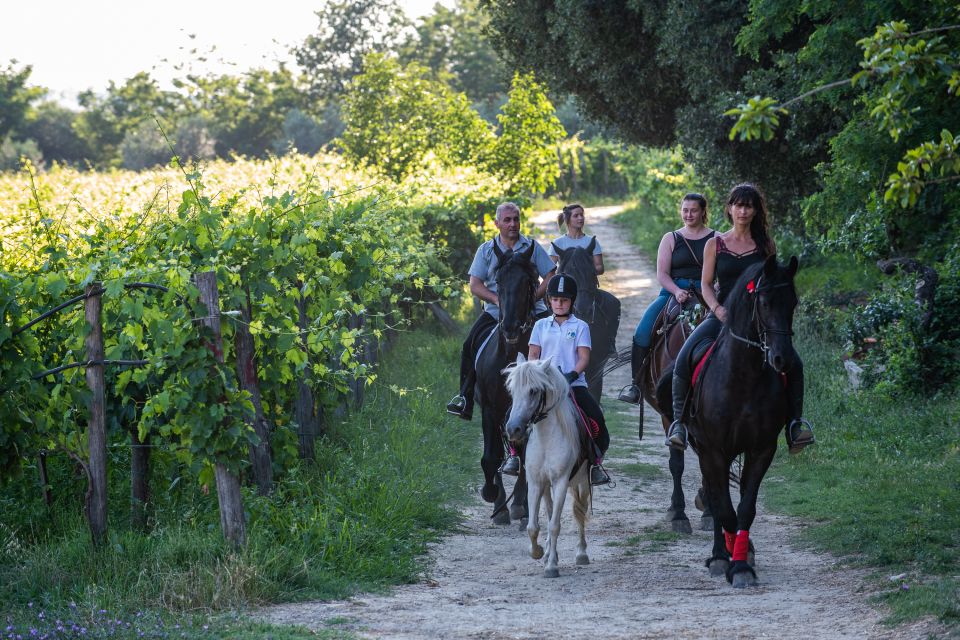 Valdichiana: Horseback Riding Tour With Tuscan Picnic - Expert Guide and Legends